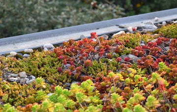 the cost of Burton Pidsea green roof installation