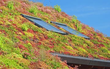 Burton Pidsea living roof systems