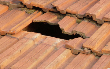 roof repair Burton Pidsea, East Riding Of Yorkshire